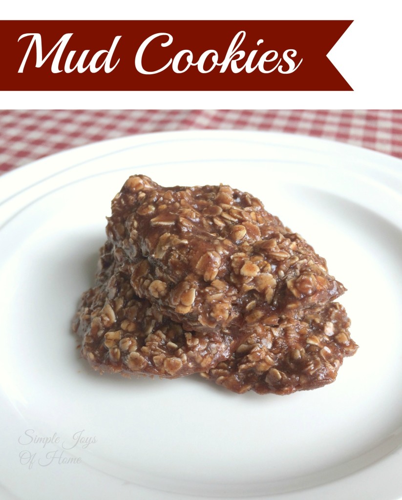 NoBake Mud Cookies Simple Joys Of Home