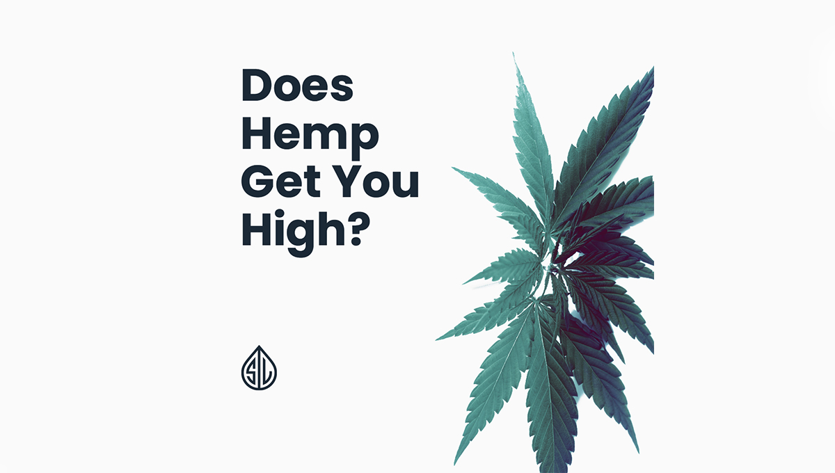 Does Hemp Get You High? Simple Leaf