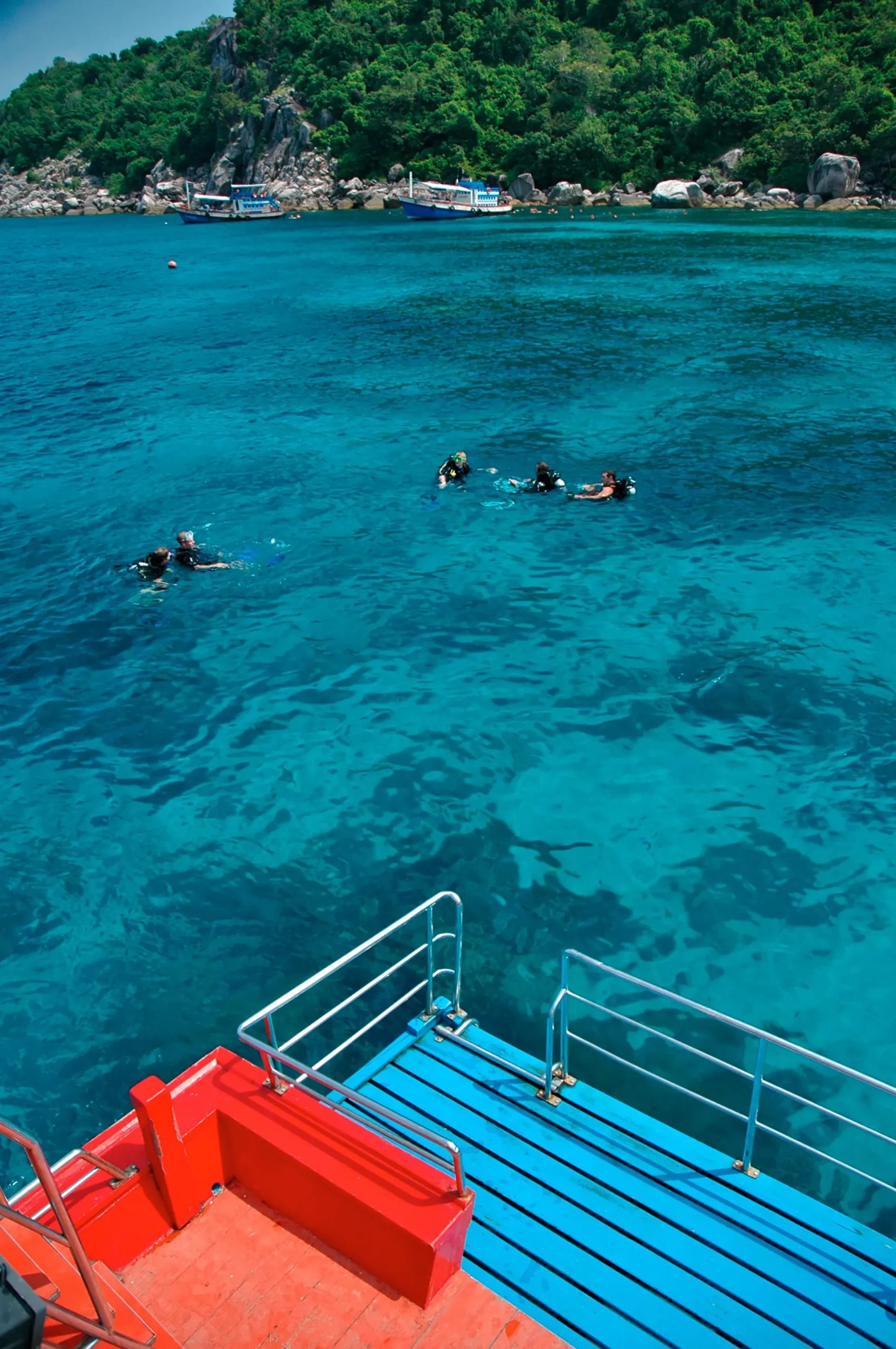 1 Month Dive Internship on Koh Tao Thailand