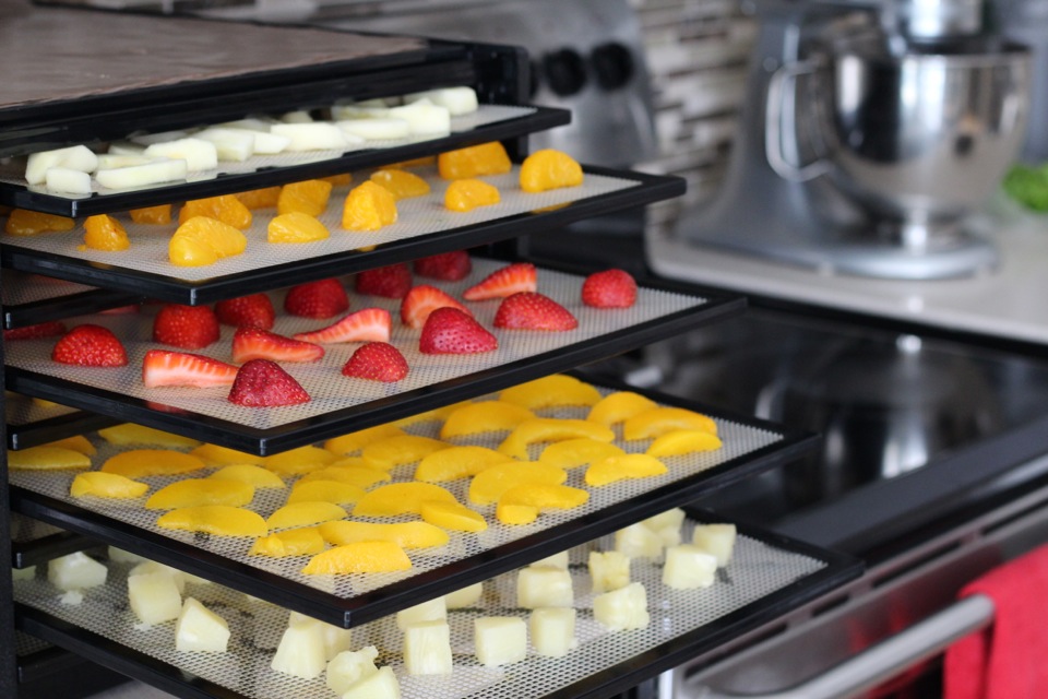 Simple Foods Rediscovering Our Food Dehydrator Simple Life Together