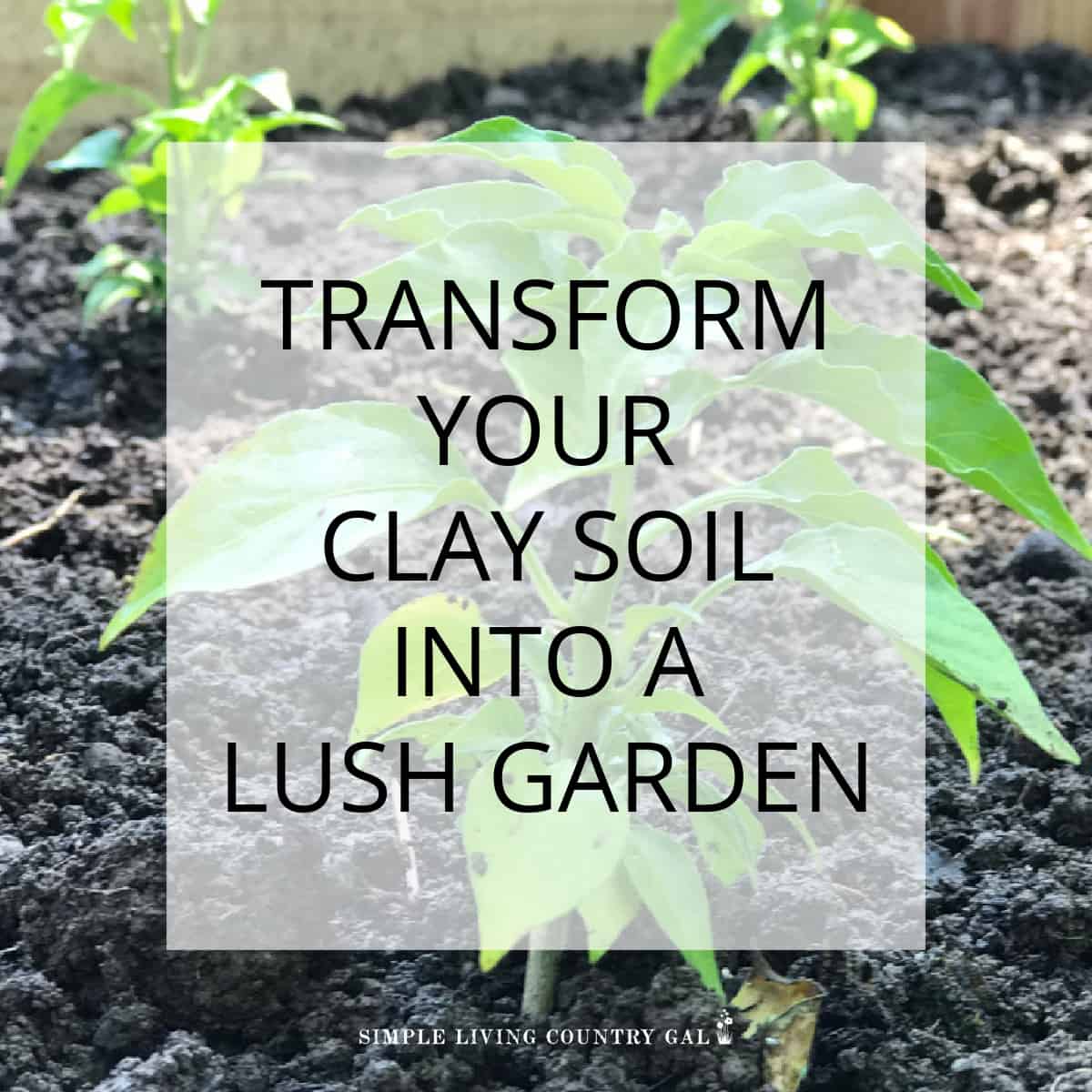 Improving Clay Soil Using Compost Simple Living Country Gal
