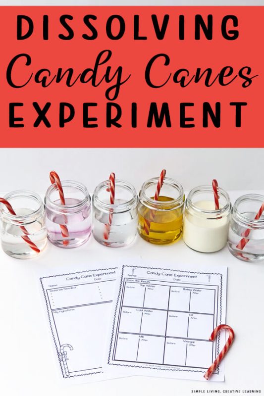 Dissolving Candy Cane Science Experiment Simple Living. Creative Learning