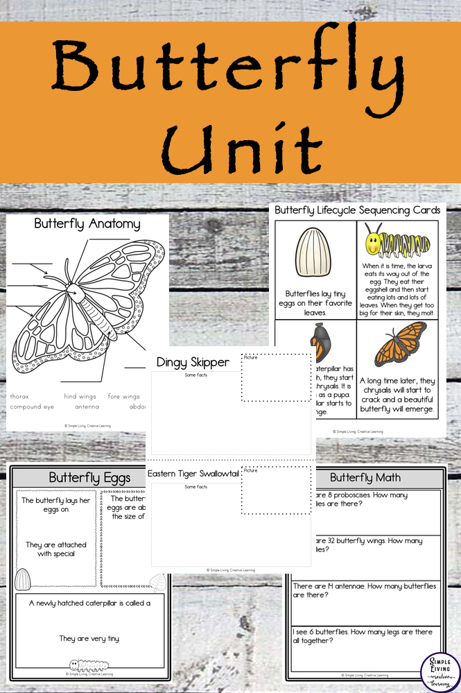 Butterfly Unit Simple Living. Creative Learning