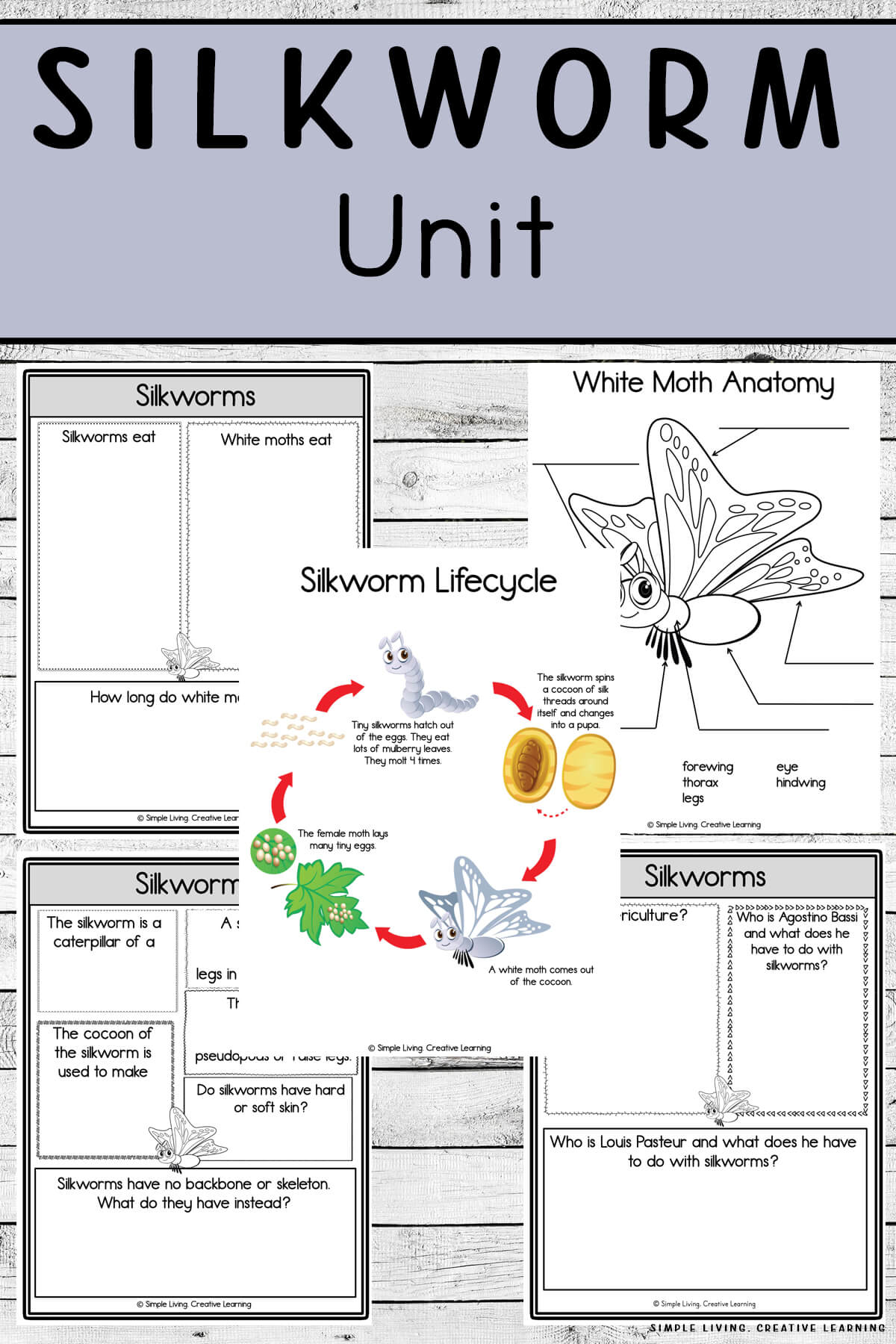 Silkworm Unit Simple Living. Creative Learning
