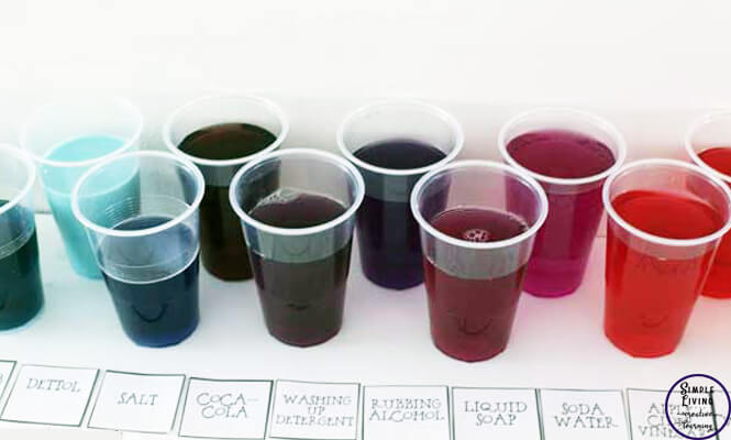 Acid or Base Experiment - Simple Living. Creative Learning