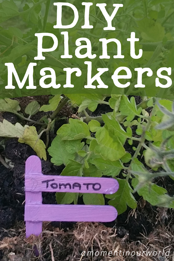 DIY Plant Markers Simple Living. Creative Learning