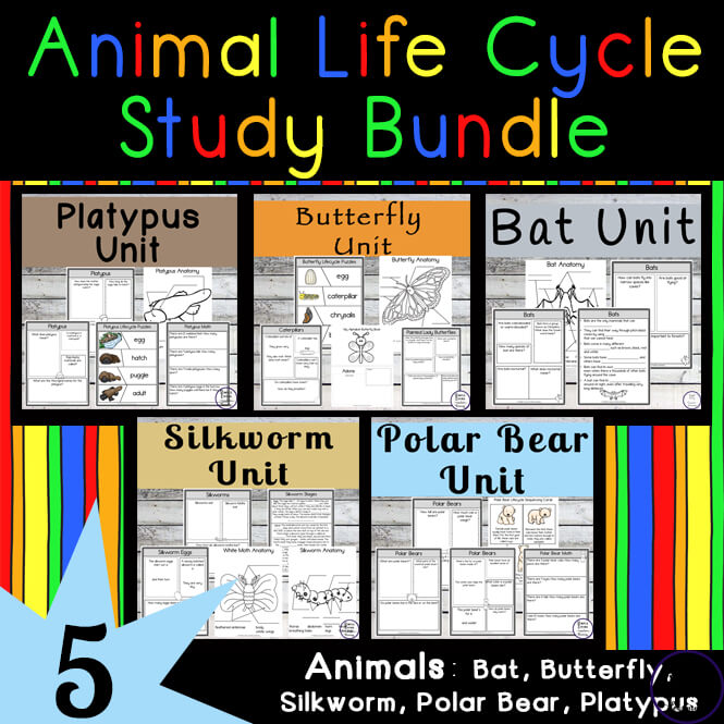Animal Life Cycle Study Bundle Simple Living. Creative Learning