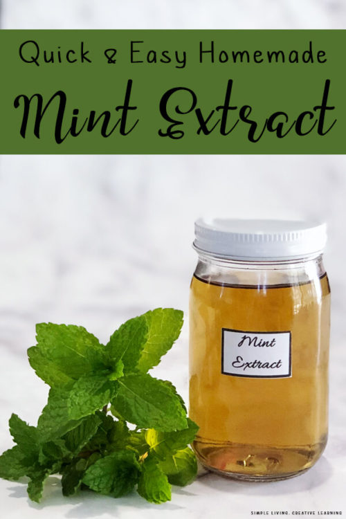 How to Make Homemade Mint Extract Simple Living. Creative Learning