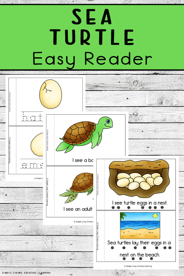 Sea Turtle Life Cycle Readers Simple Living. Creative Learning