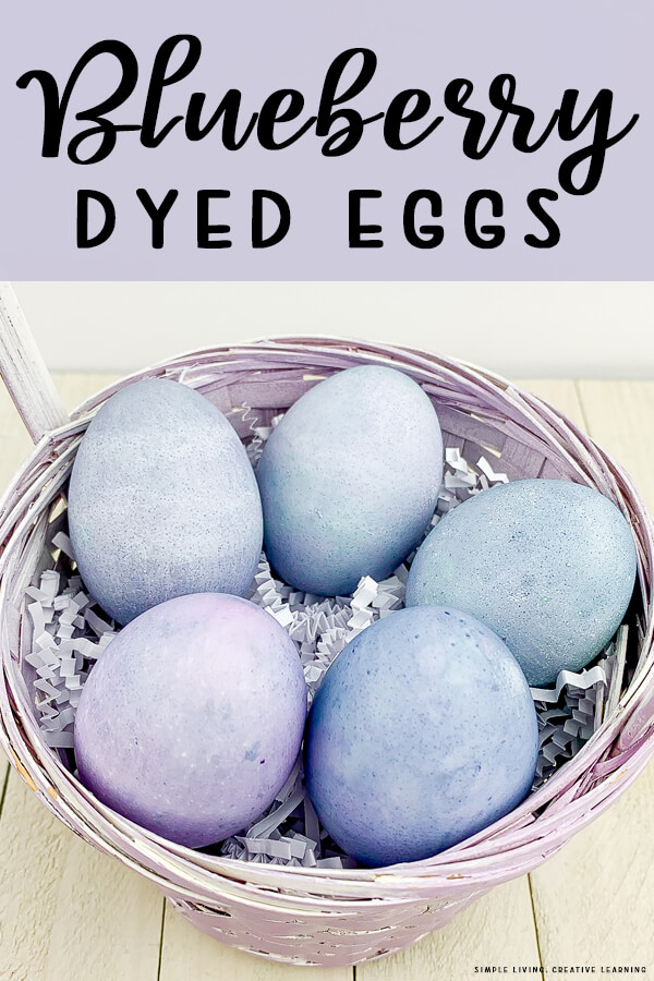 Make your own Blueberry Dyed Eggs Simple Living. Creative Learning