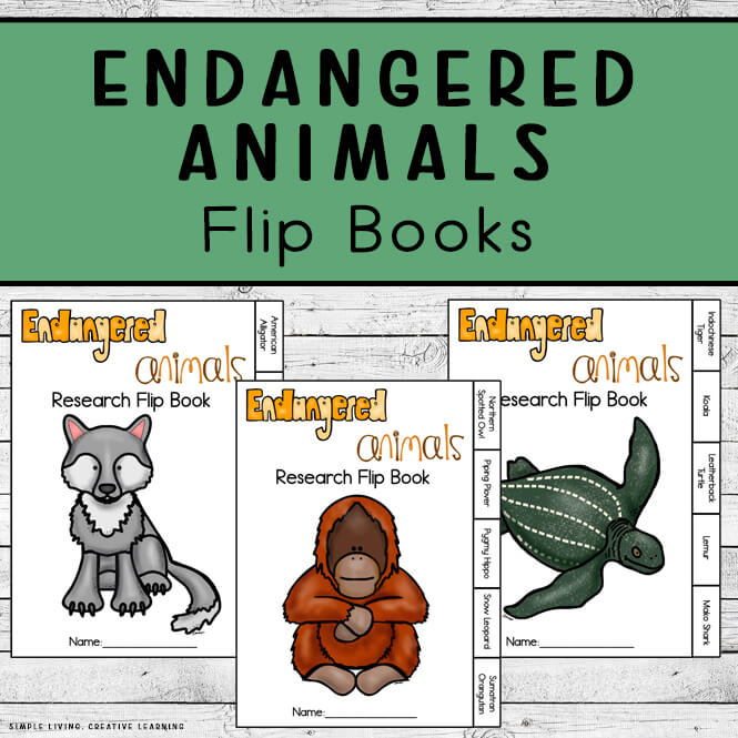 Endangered Animals Flip Books Simple Living. Creative Learning