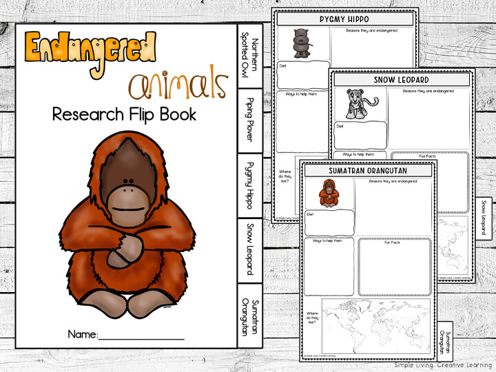 Endangered Animals Flip Books Simple Living. Creative Learning