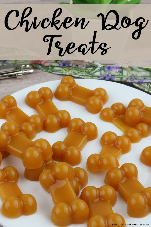 Chicken Broth Dog Treats