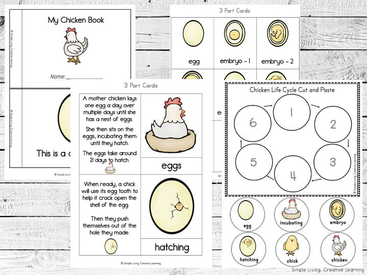 Chicken Life Cycle Printables - Simple Living. Creative Learning