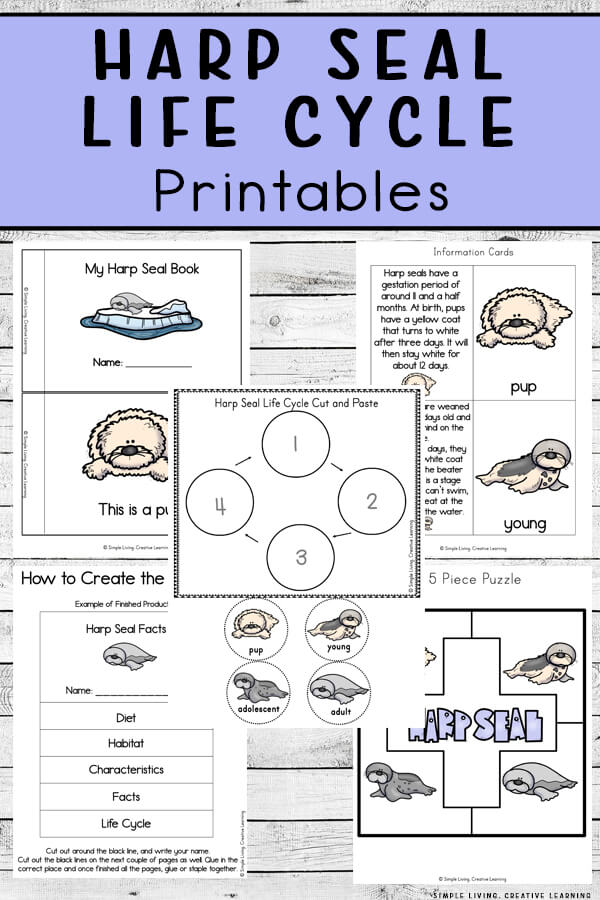 Harp Seal Life Cycle Printables Simple Living. Creative Learning