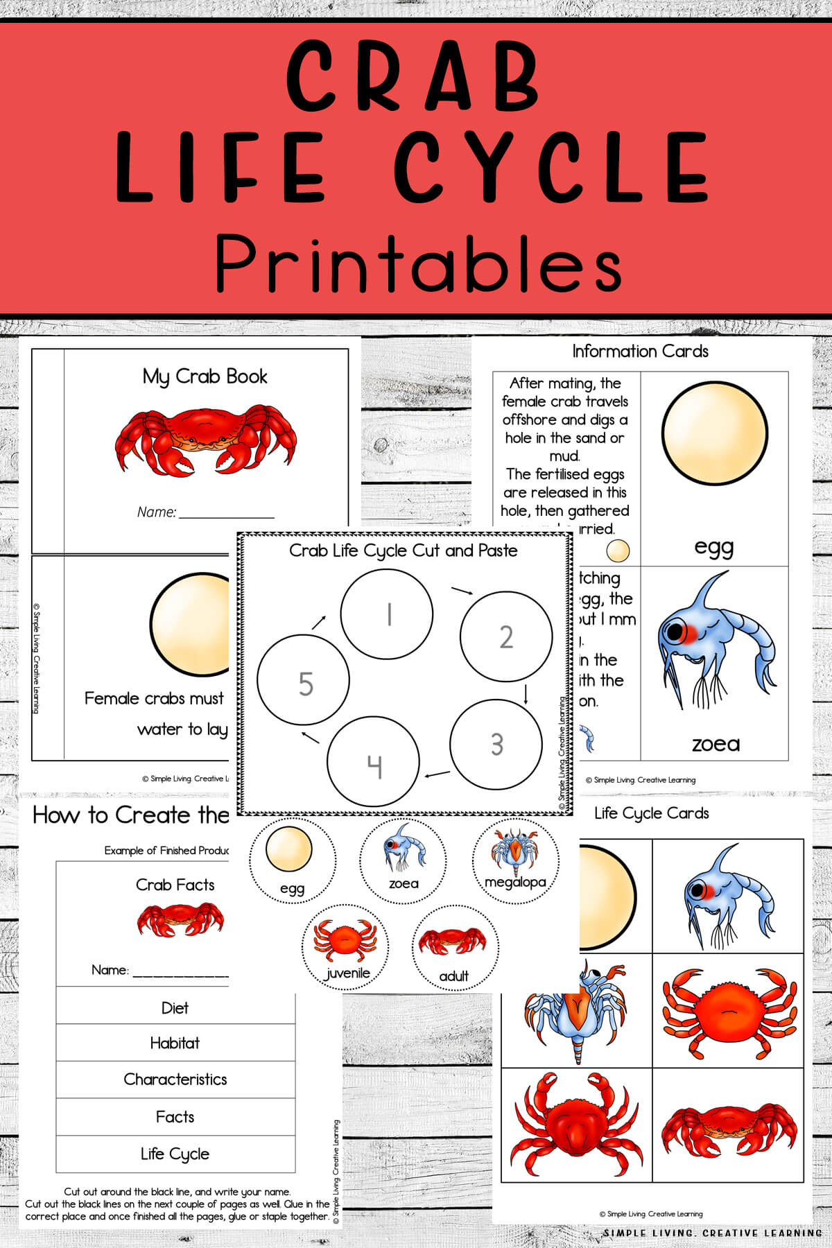 Crab Life Cycle Printables Simple Living. Creative Learning