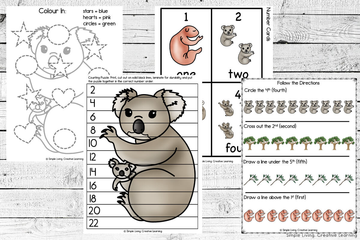 Koala Life Cycle Printables Simple Living. Creative Learning