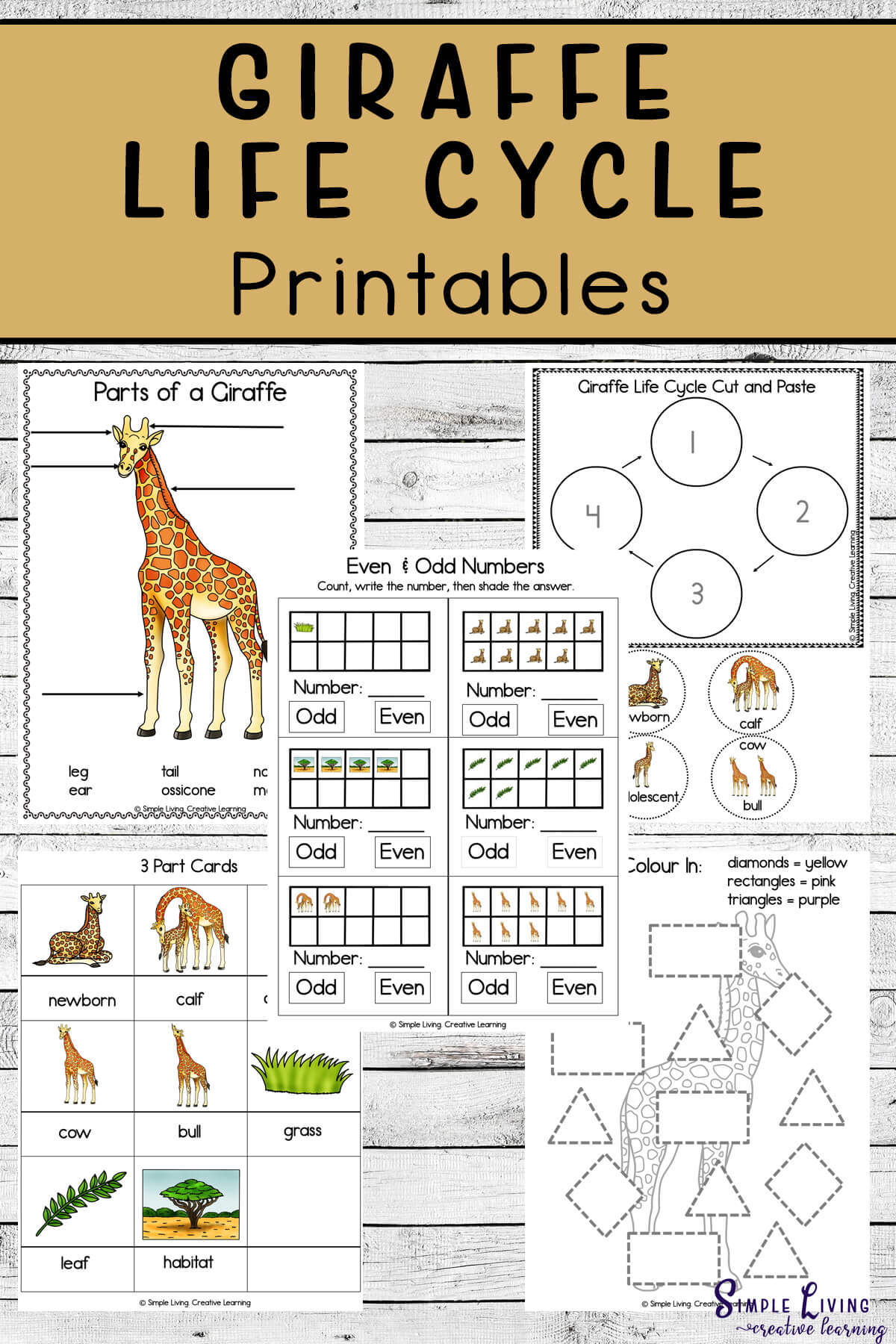 Giraffe Life Cycle Printables - Simple Living. Creative Learning