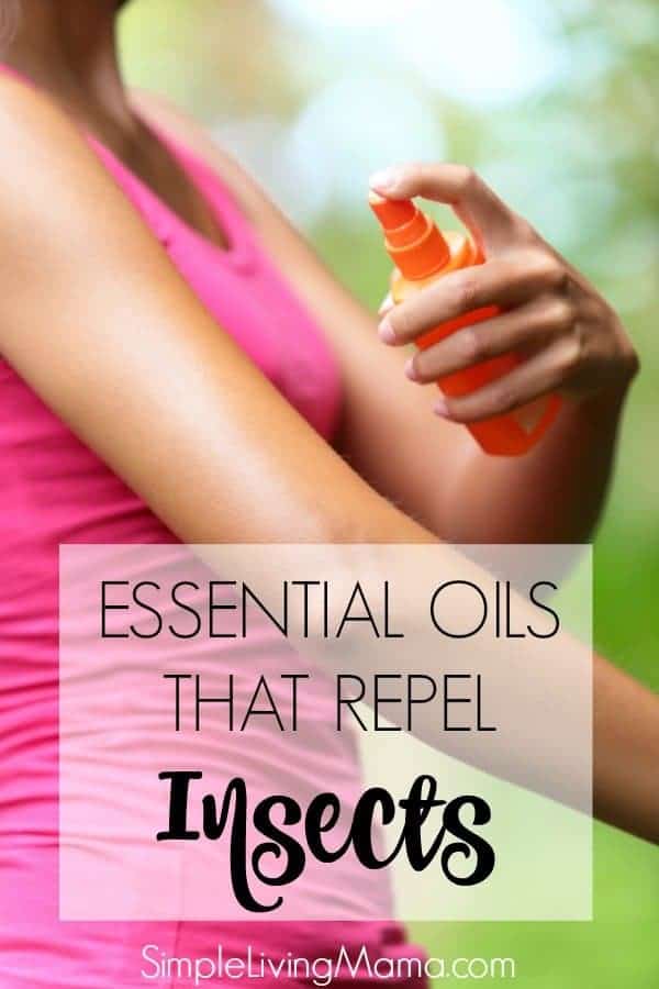 Essential Oils That Repel Insects Simple Living Mama