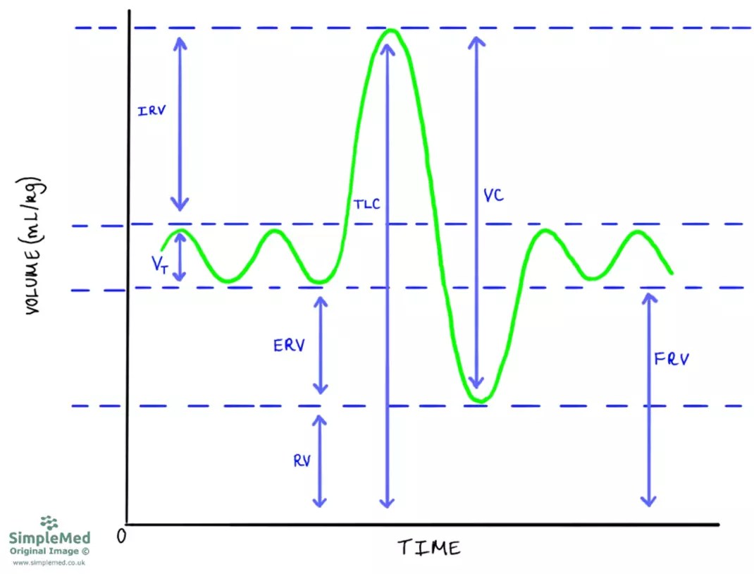 7. Lung Function Testing SimpleMed Learning Medicine, Simplified