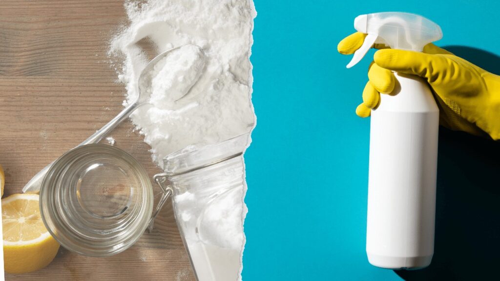 NonToxic Carpet Cleaning DIY Vs StoreBought Making The Best Choice