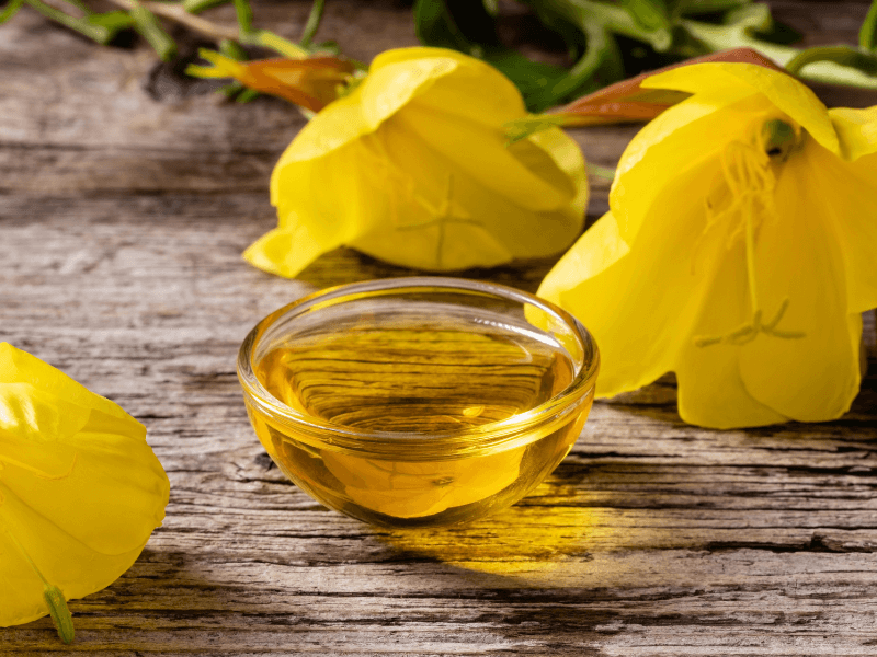 Top 5 Antiaging Evening Primrose Oil Benefits for Skin Simple Pure