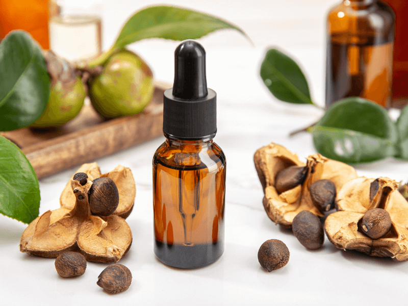 Camellia Seed Oil Benefits for Skin How to Use, Where to Buy + DIY