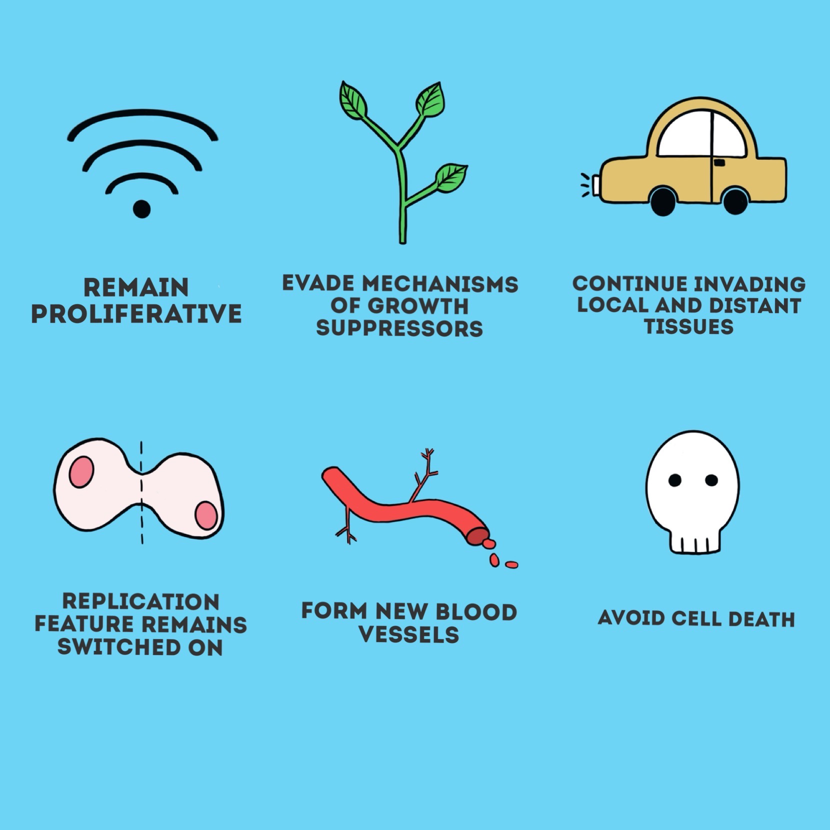 Debunking the Association between Underwired Bras and Breast Cancer