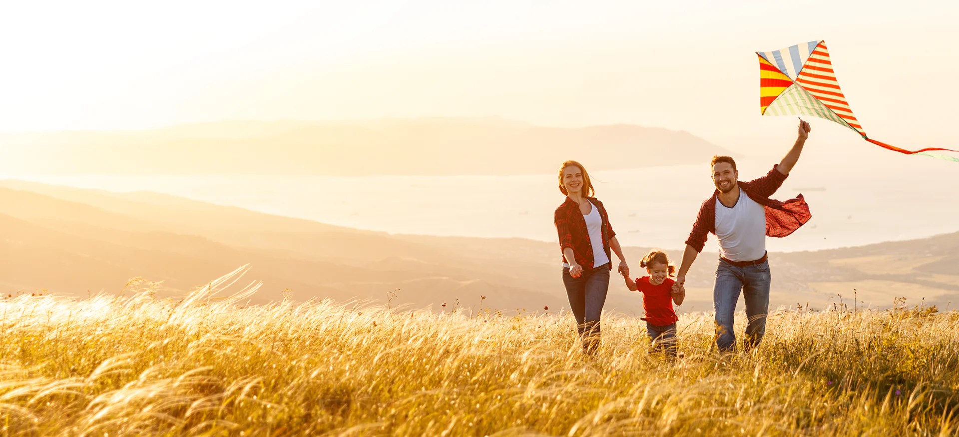 Inside Simple Spectrum Supplements