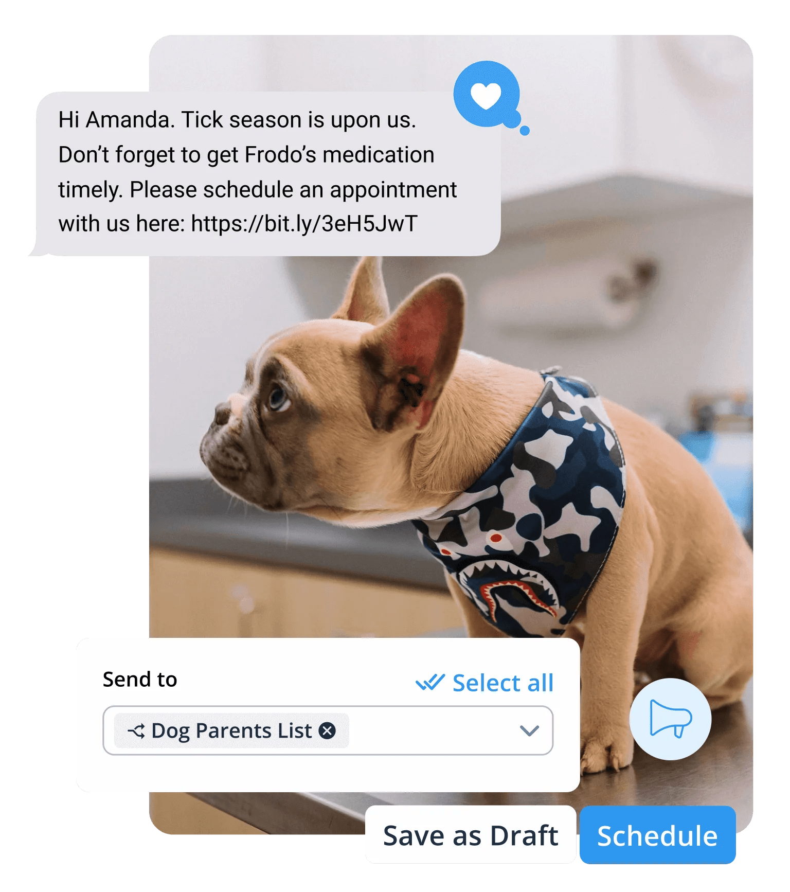 Text message marketing tool for veterinarians