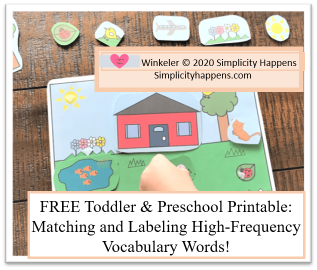 What Age do Toddlers/Preschoolers Learn to Name Common Vocabulary Words