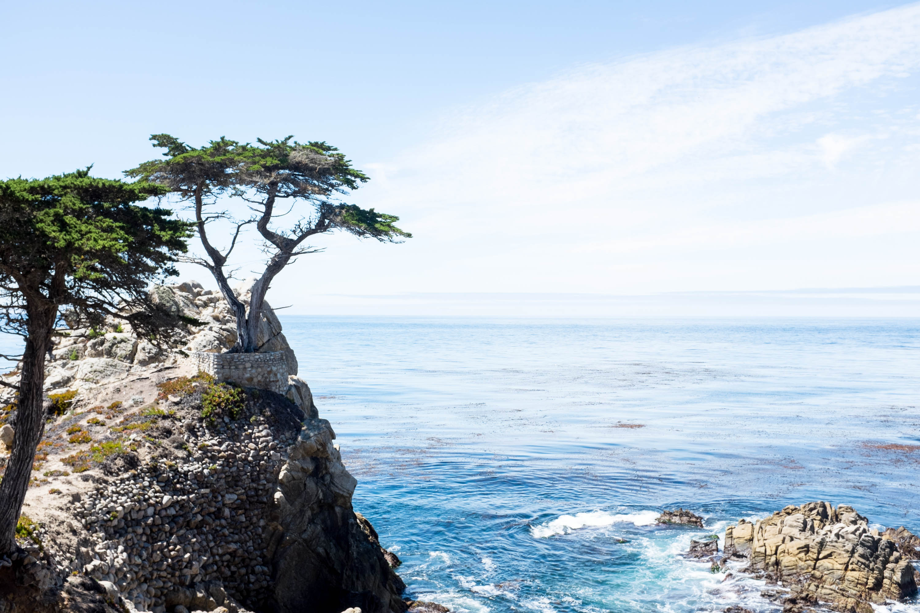 A Quick Guide to 17 Mile Drive in Pebble Beach, California Simplicity Relished