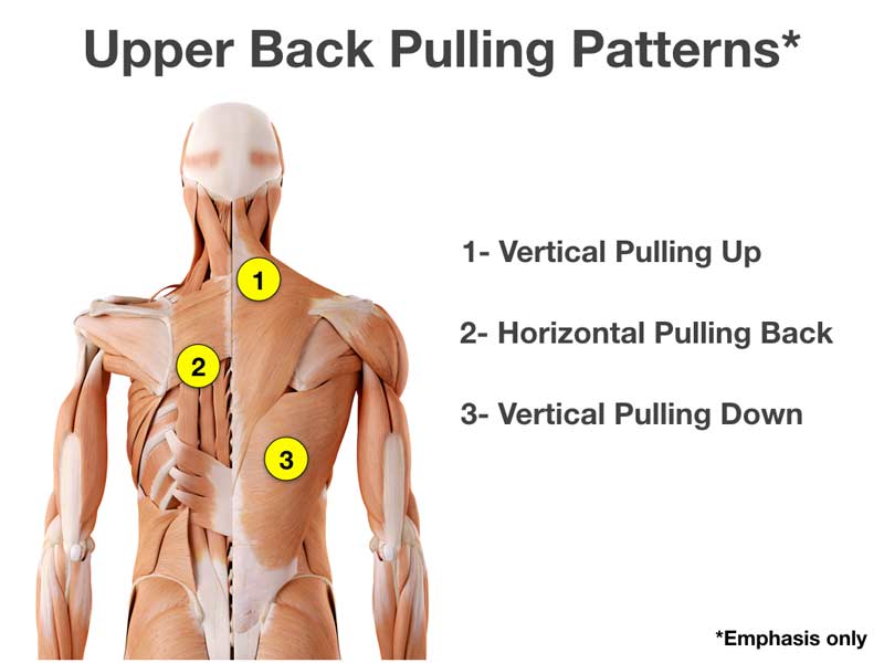 7 Upper Back Pulling Exercises for Athletes SimpliFaster