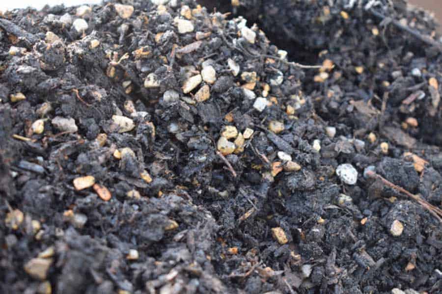 Picture of grit mixed into cactus compost ready to plant cacti