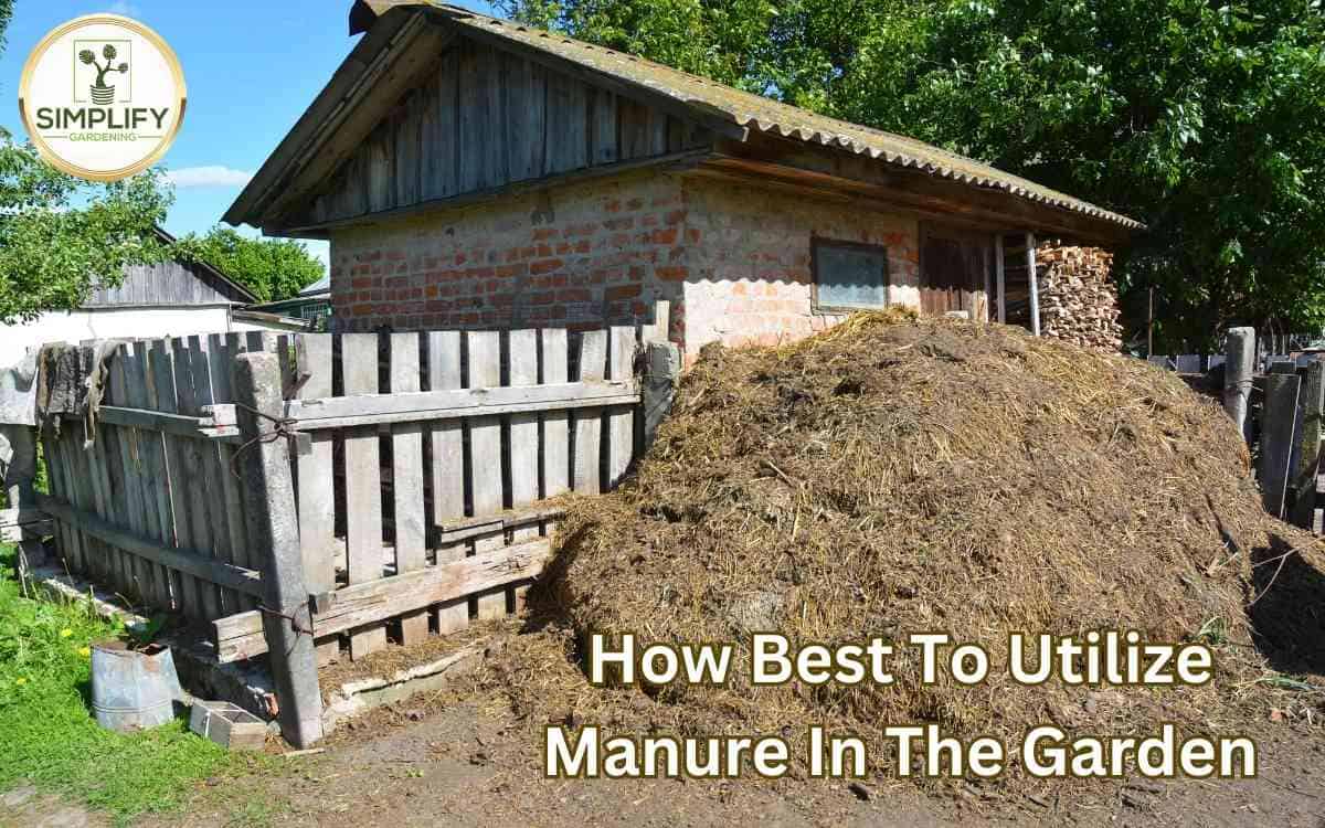 How Best To Utilize Manure In The Garden Simplify Gardening