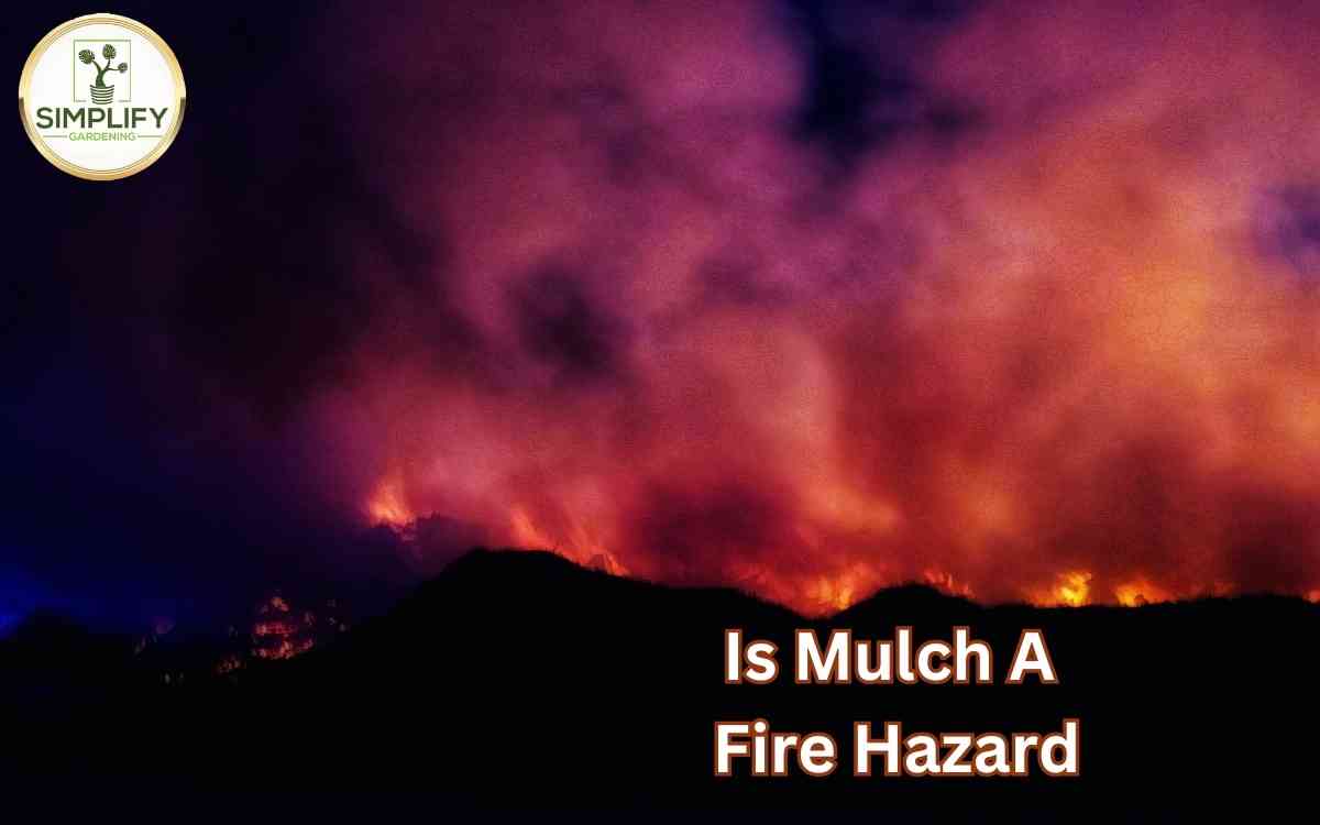 Is Mulch A Fire Hazard? How To Stay Safe Simplify Gardening