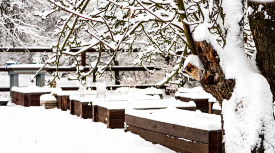 Should Raised Beds Be Covered In Winter? Simplify Gardening