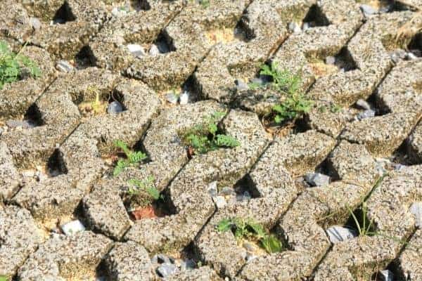 Picture of brick flooring