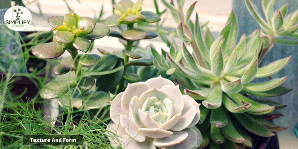 Creating succulent arrangements with wonderful texture. And contains ornamental grasses and thick leaved succulents In this warm toned arrangement