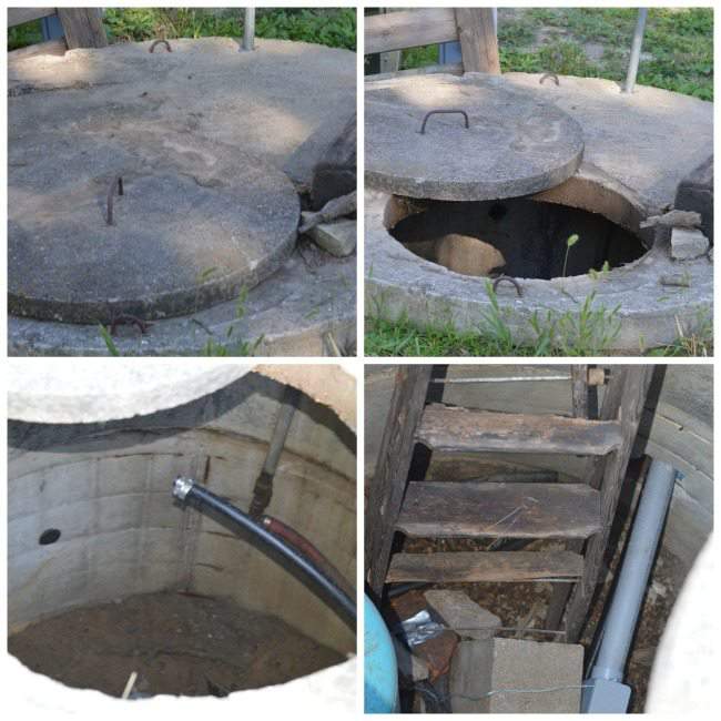 How to Store Potatoes Over Winter Simplify, Live, Love