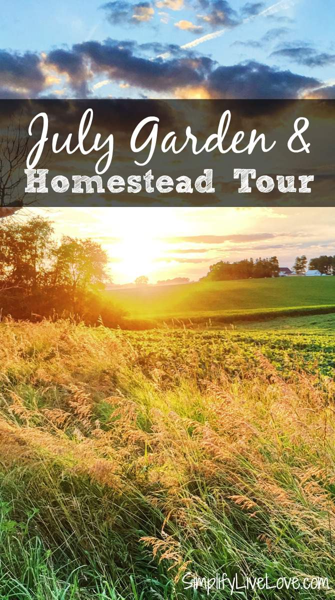 July Garden & Homestead Tour Simplify, Live, Love
