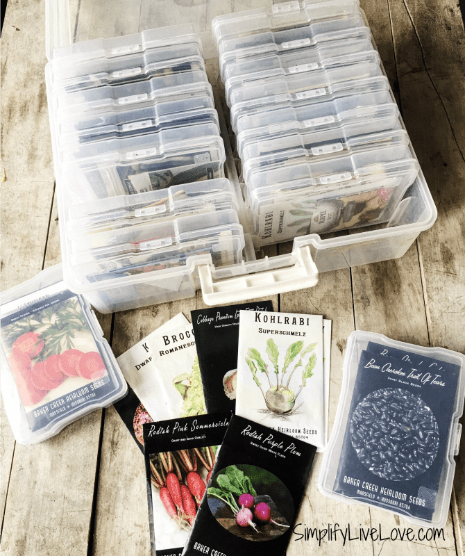 Learn How to Store Seeds + 15 Creative Seed Storage Ideas Simplify