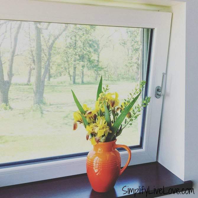 Grow a Beautiful & Colorful Cutting Flower Container Garden! Simplify