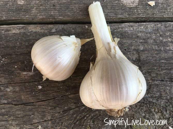5 Types of Heirloom Garlic to Grow this Fall Simplify, Live, Love