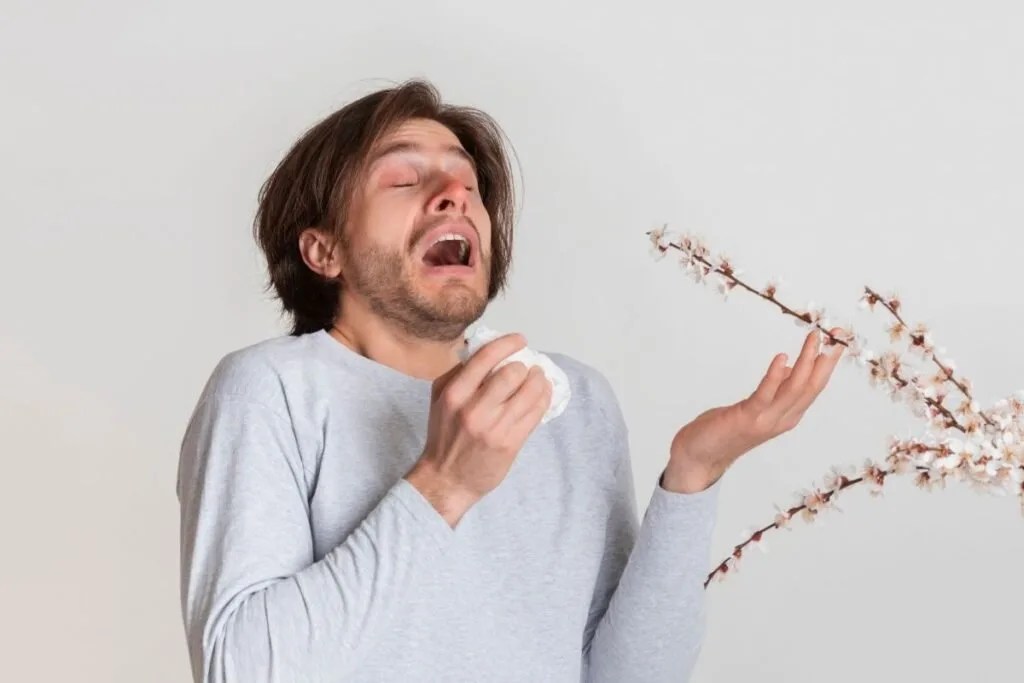 Can Indoor Plant Cause Allergies? (Signs, Good & Bad Plants