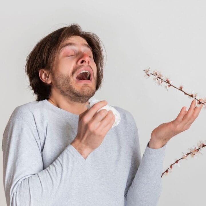 Can Indoor Plant Cause Allergies? (Signs, Good & Bad Plants