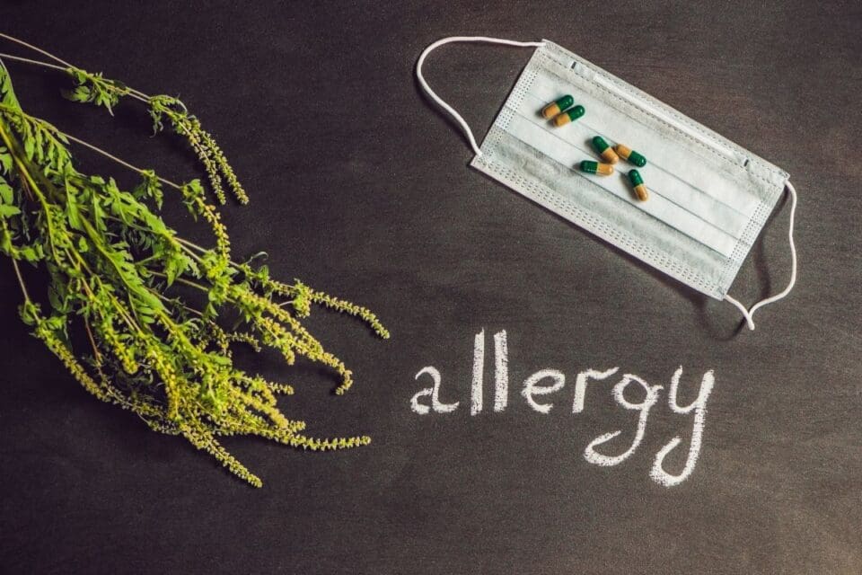 Can Indoor Plant Cause Allergies? (Signs, Good & Bad Plants