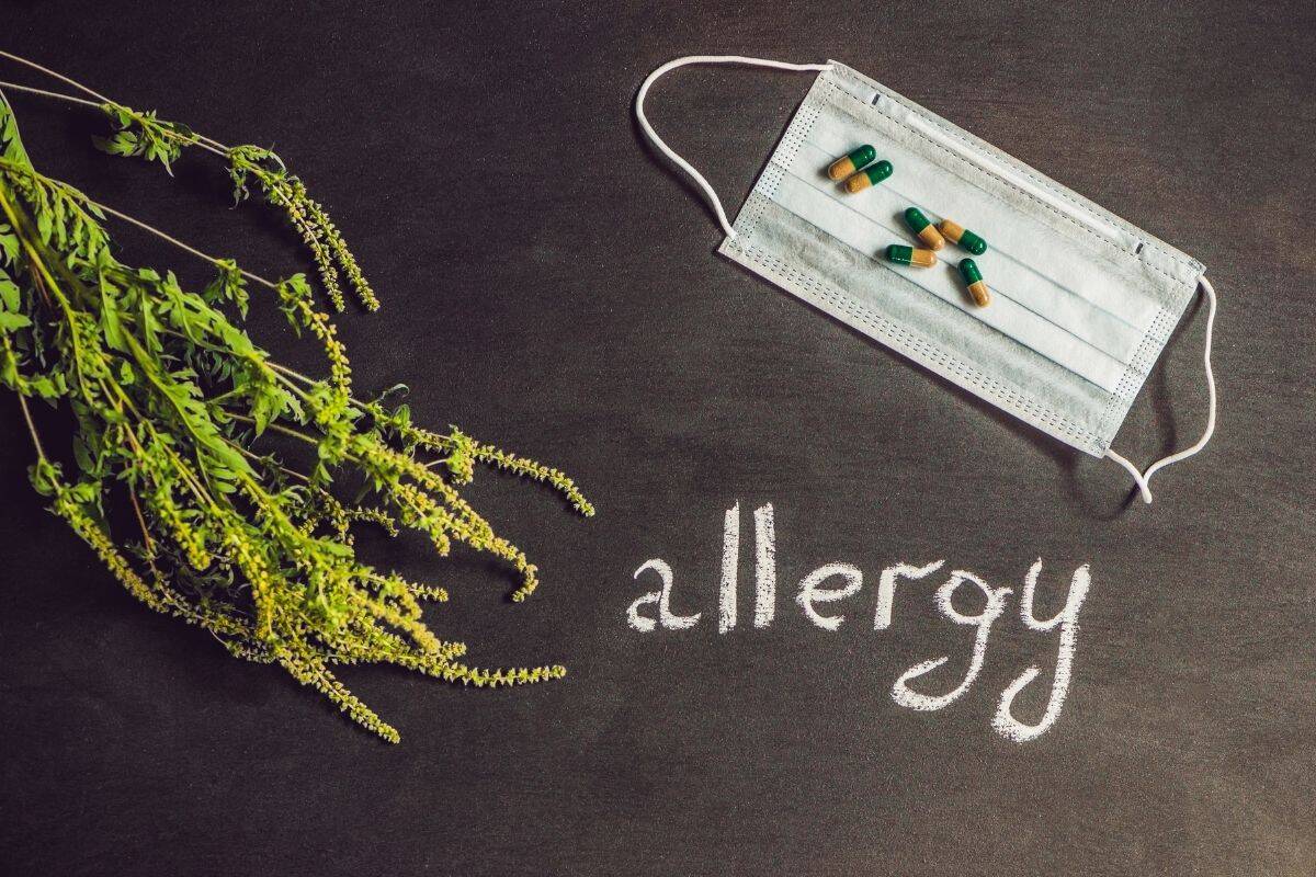Can Indoor Plant Cause Allergies? (Signs, Good & Bad Plants