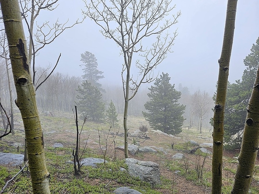 Meridian Trailhead Simplify Renting Denver Metro's Premier Airbnb Property Management Company