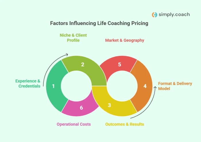 The Sales Coach Network Pricing Model Decoded